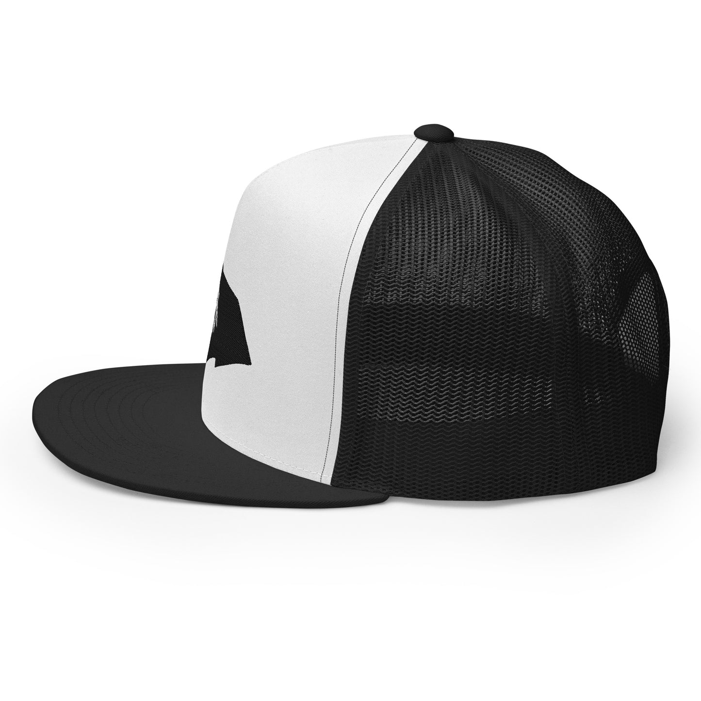 SIGNATURE FLAG MESH SNAPBACK