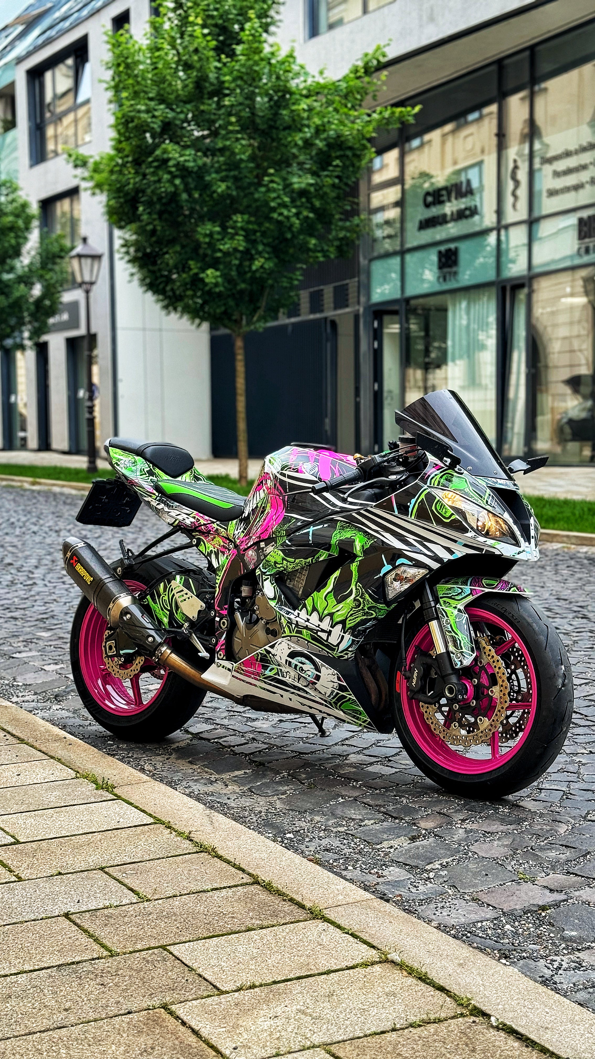 Palino S | Kawasaki Motorcycle Wrap – Leif Alvarsson Art