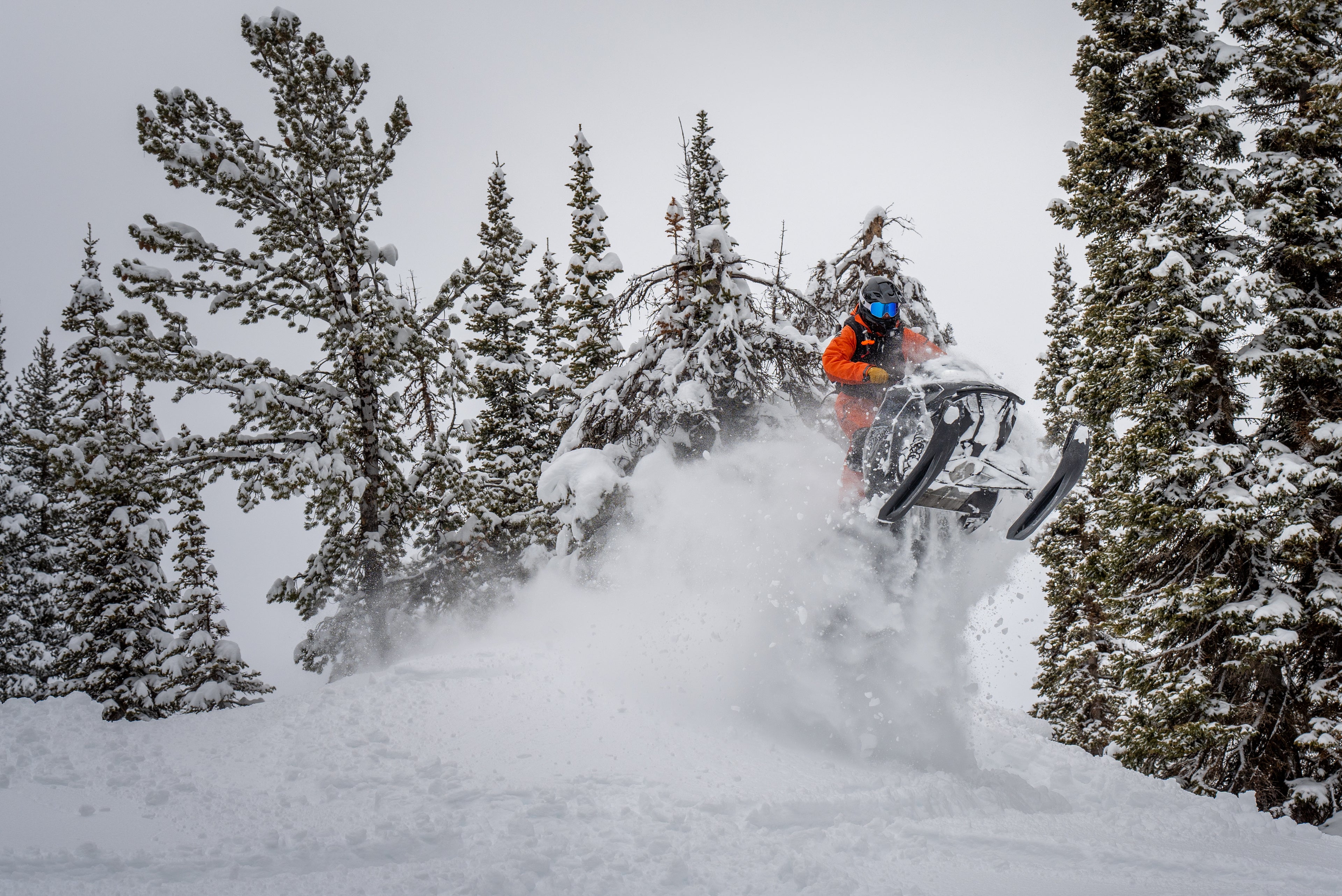 Person on a snowmobile in a snowy forest