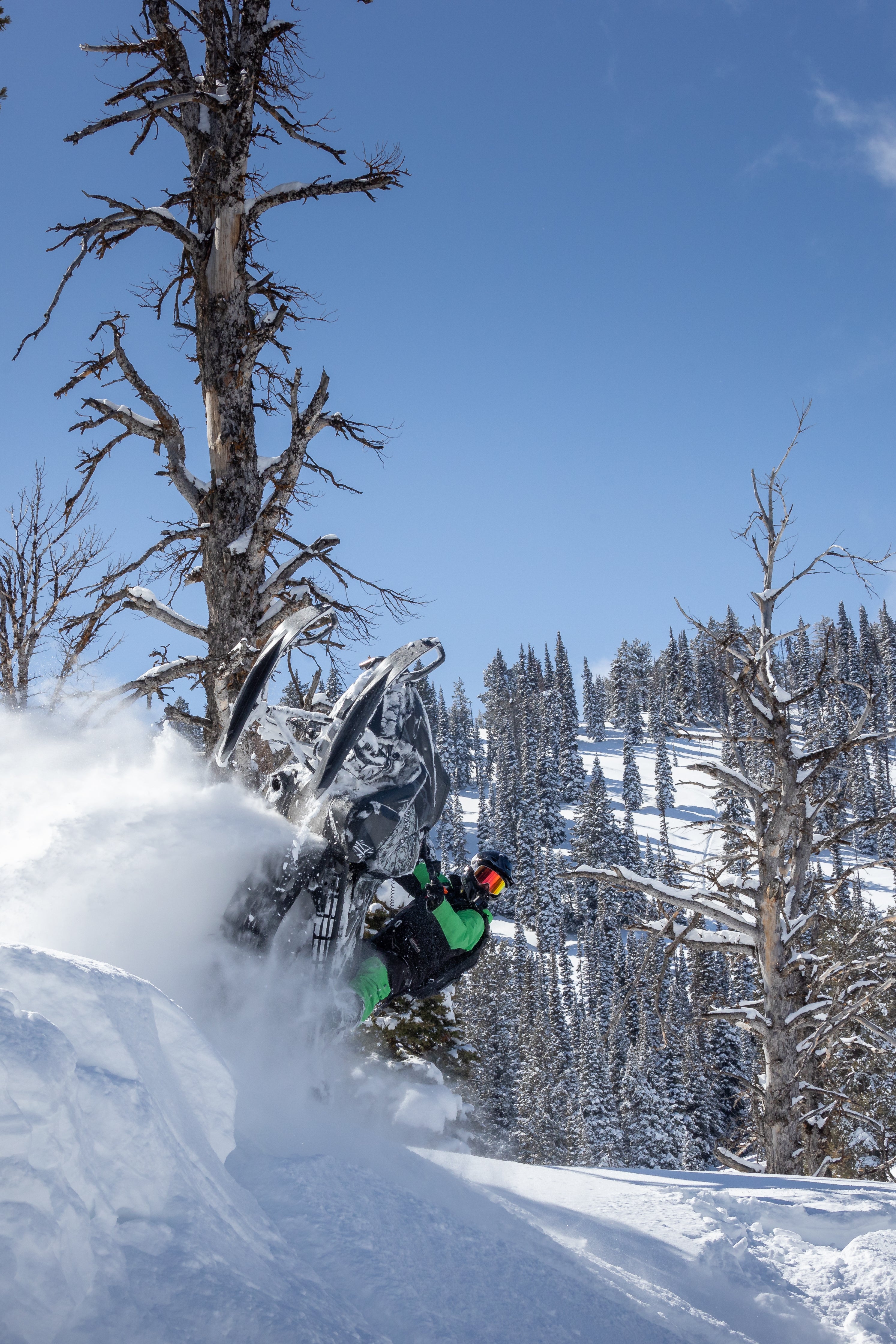 Person on a snowmobile re-entry through powder snow with trees and blue sky in the background