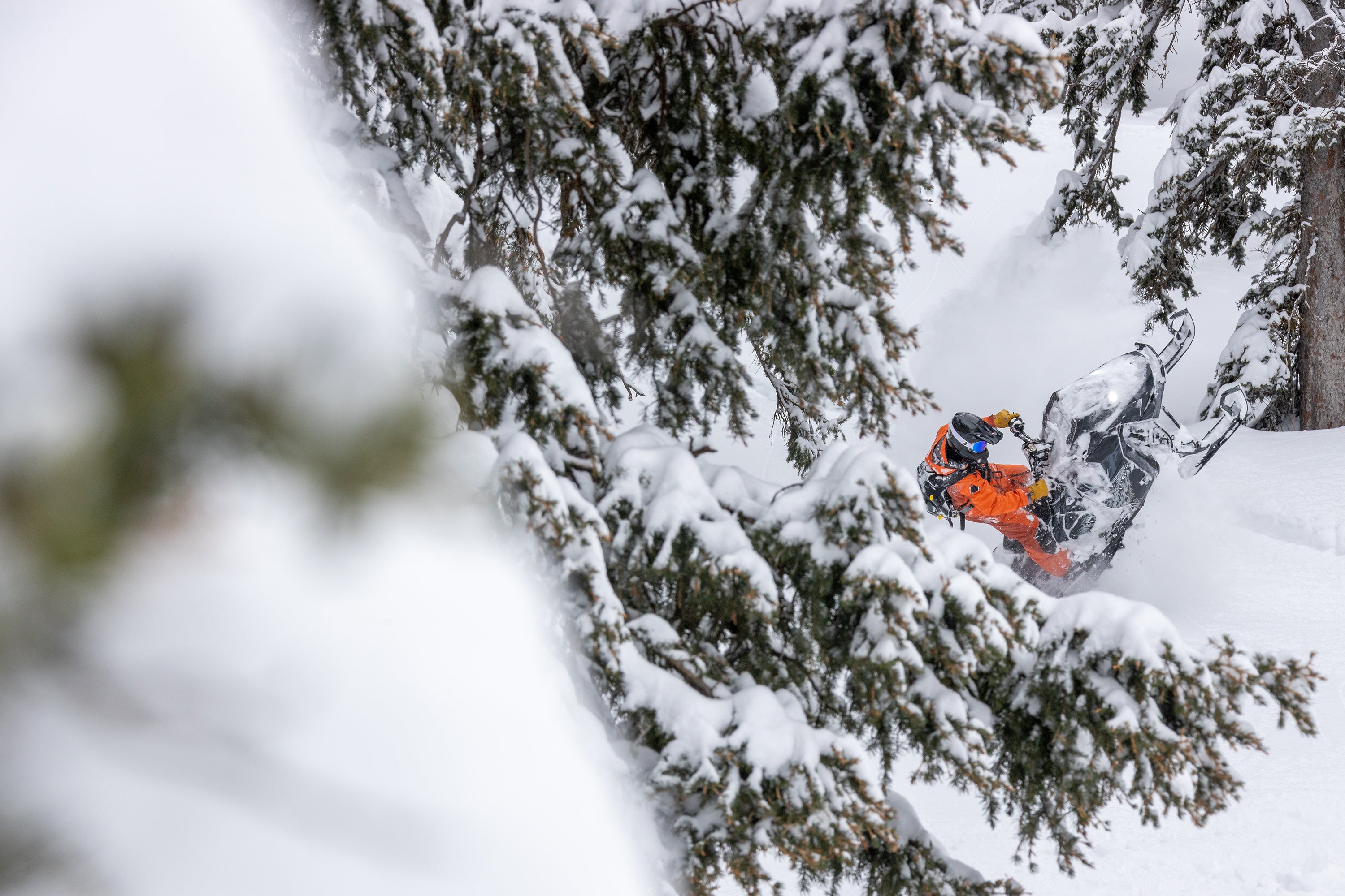Person on a snowmobile navigating through a snowy forest
