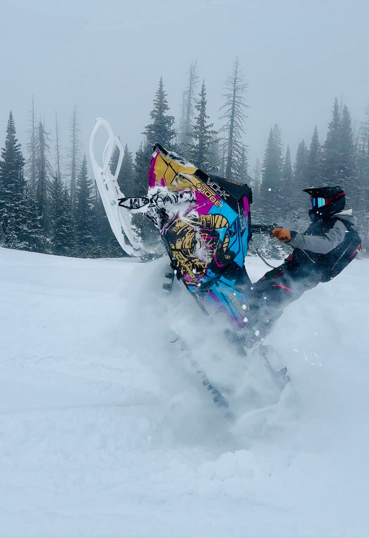snowmobile wheelie in a snowy landscape with trees in the background