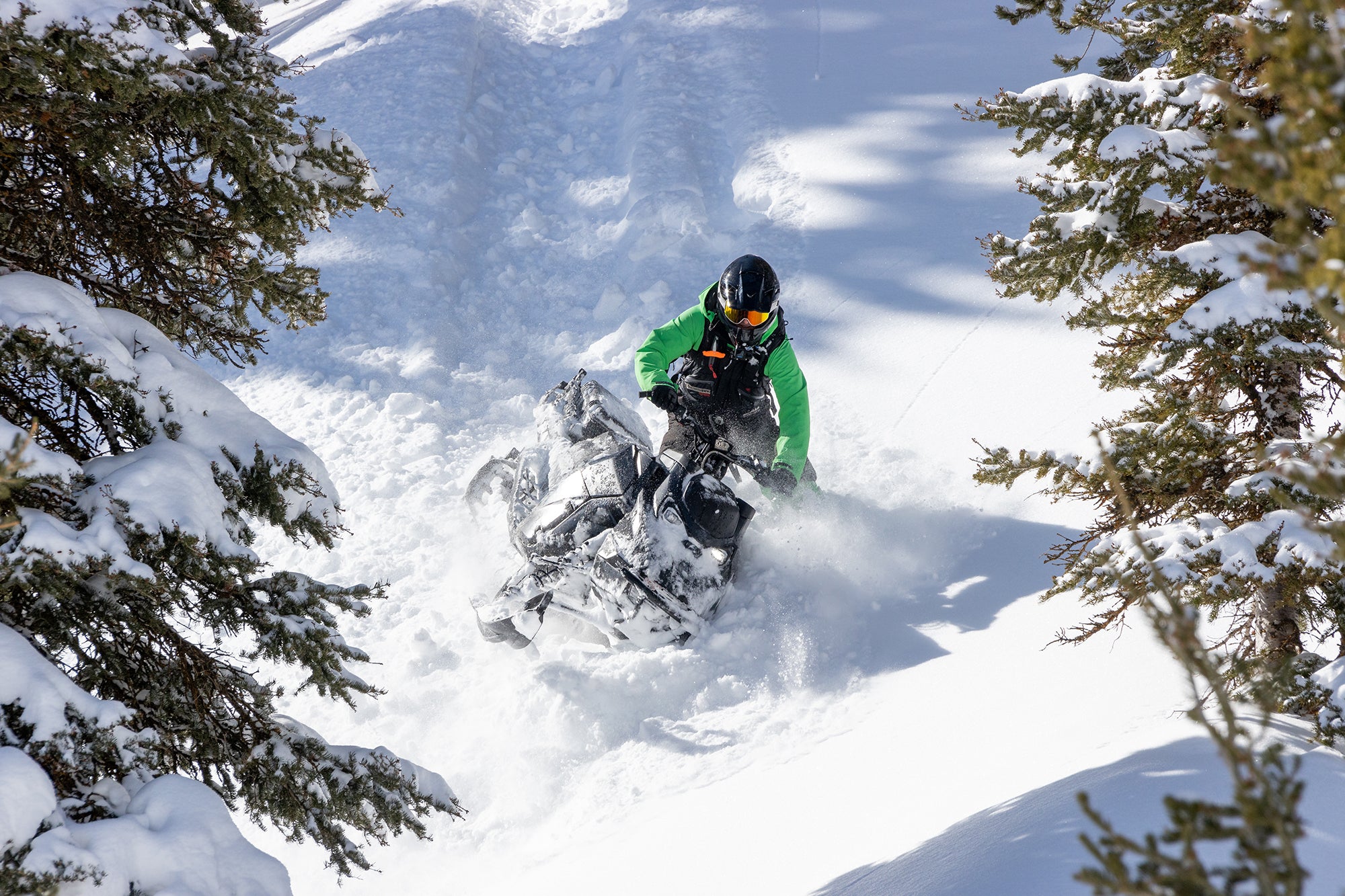 Person snowmobiling through a snowy landscape with trees